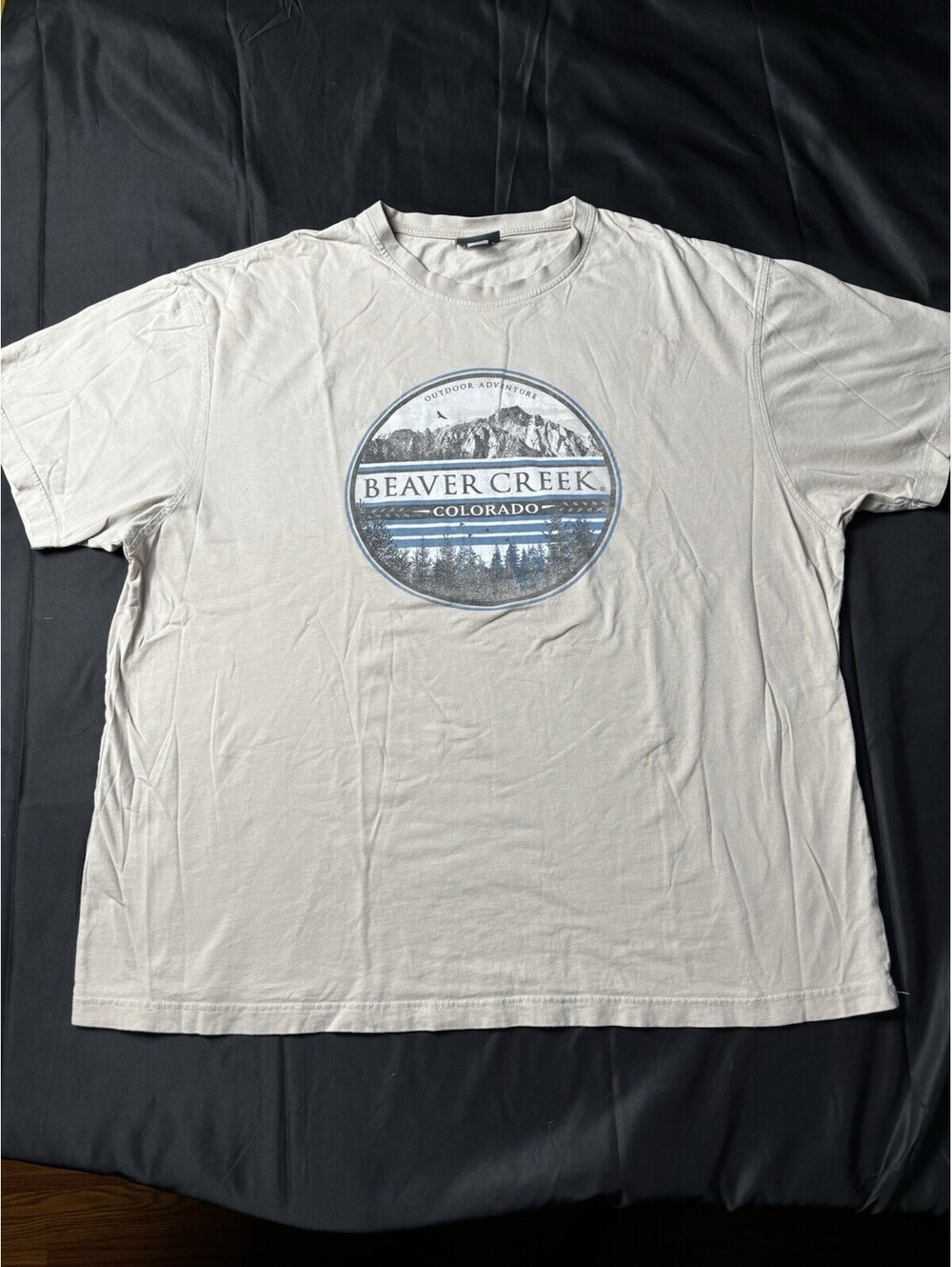 E.M.I Sportswear Beige Graphic Mountain T-Shirt XL